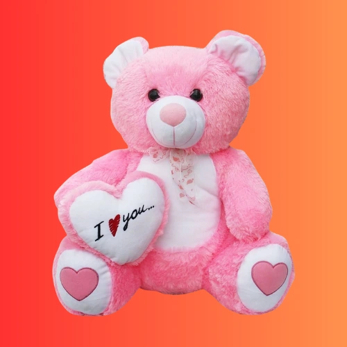 Customized Photo Teddy Bear